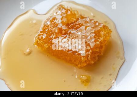 Miel dans un peigne sorti de la ruche d'abeille. Le miel de peigne contient de la propolis et du pollen, bénéfique pour le corps, antiseptique, antiviral. Pollen, le principal f Banque D'Images