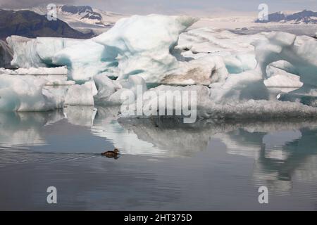 Ile - Jökulsárlón - Gletscherflusslagune / Islande - Jökulsárlón - Galcier / Banque D'Images