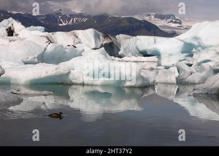 Ile - Jökulsárlón - Gletscherflusslagune / Islande - Jökulsárlón - Galcier / Banque D'Images