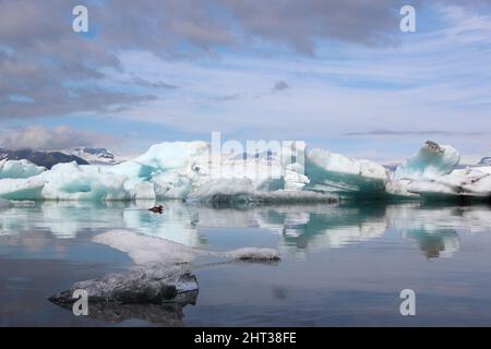 Ile - Jökulsárlón - Gletscherflusslagune / Islande - Jökulsárlón - Galcier / Banque D'Images