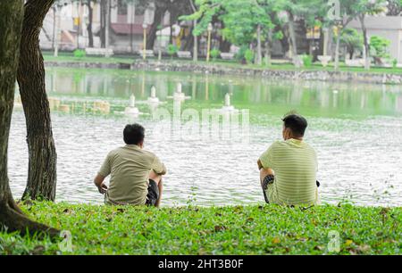 Vue arrière de deux amis mâles assis et regardant les cygnes dans un lac ensemble Banque D'Images