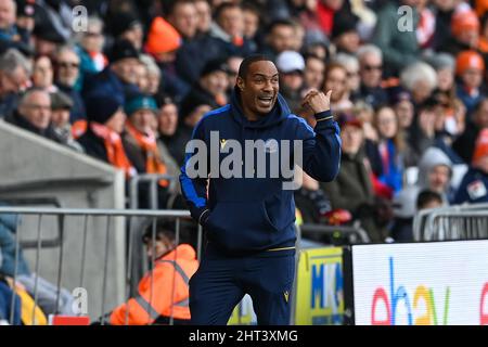 Paul Ince, responsable de Reading, donne des instructions à son équipe Banque D'Images