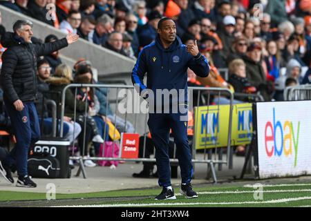Paul Ince, responsable de Reading, donne des instructions à son équipe Banque D'Images