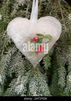 Coeur glacé avec des hanches roses glacées Banque D'Images