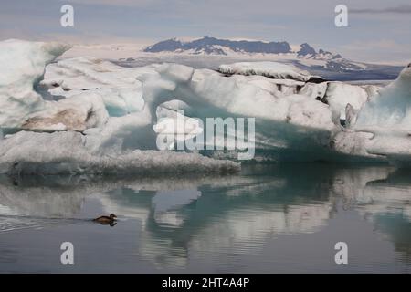 Ile - Jökulsárlón - Gletscherflusslagune / Islande - Jökulsárlón - Galcier / Banque D'Images