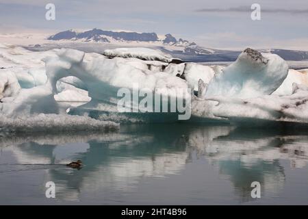 Ile - Jökulsárlón - Gletscherflusslagune / Islande - Jökulsárlón - Galcier / Banque D'Images