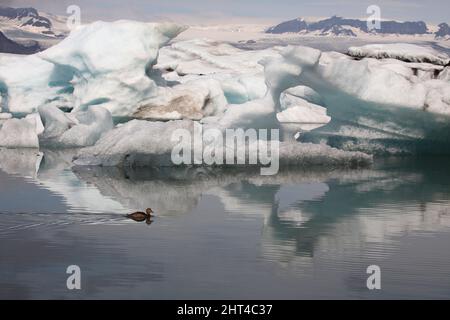 Ile - Jökulsárlón - Gletscherflusslagune / Islande - Jökulsárlón - Galcier / Banque D'Images