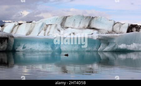 Ile - Jökulsárlón - Gletscherflusslagune / Islande - Jökulsárlón - Galcier / Banque D'Images