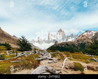 Vue sur le Mont Fitz Roy depuis le sentier, avec végétation estivale. El Chalten, Argentine Banque D'Images
