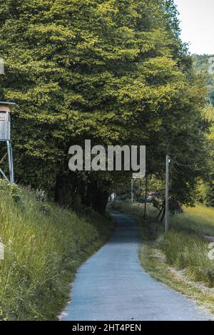 Gros plan d'une route dans un champ Banque D'Images