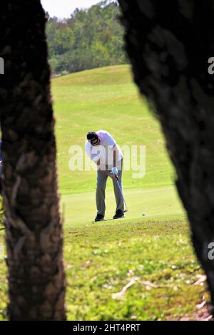 Une photo prise entre les arbres d'un golfeur solitaire mettant sur une journée parfaite Banque D'Images