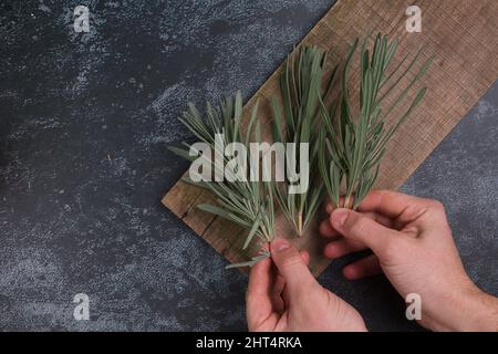 Main de l'homme tenant du romarin frais sur une surface en bois Banque D'Images