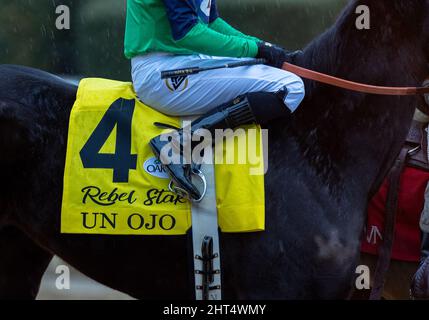 Hot Springs, Arkansas, États-Unis. 26th févr. 2022. 26 février 2022 : un Ojo (4) se fige avant la course des piquets Rebel (Grade 2) au Oaklawn Racing Casino Resort à Hot Springs, Arkansas, le 26 février 2022. Tommy Land/Eclipse Sportswire/CSM. Crédit : csm/Alay Live News Banque D'Images