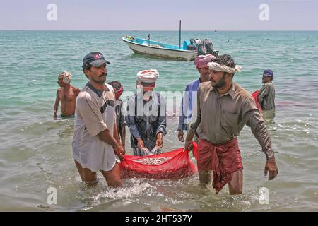 Pêcheurs avec leurs prises sur la plage à Fujairah dans les Émirats arabes Unis. Banque D'Images