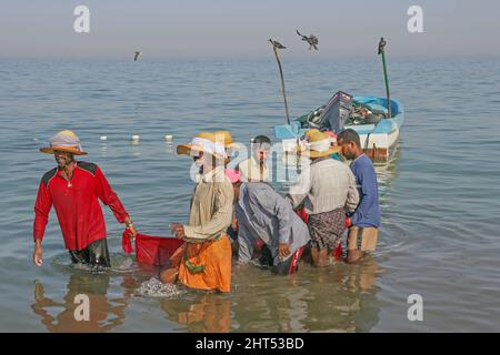 Pêcheurs avec leurs prises sur la plage à Fujairah dans les Émirats arabes Unis. Banque D'Images