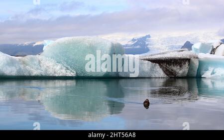 Ile - Jökulsárlón - Gletscherflusslagune / Islande - Jökulsárlón - Galcier / Banque D'Images