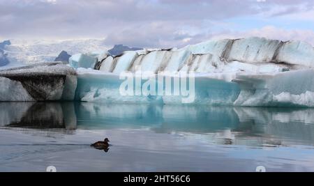 Ile - Jökulsárlón - Gletscherflusslagune / Islande - Jökulsárlón - Galcier / Banque D'Images