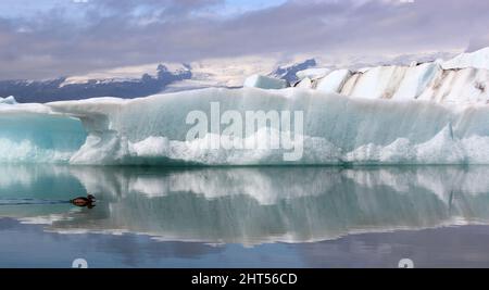 Ile - Jökulsárlón - Gletscherflusslagune / Islande - Jökulsárlón - Galcier / Banque D'Images