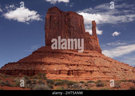 Le grès rouge a quitté la falaise Mitten Butte dans le parc tribal de Monument Valley Navajo avec des plantes écosystémiques au premier plan Banque D'Images