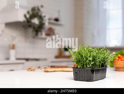 vert microgreens pousses de pois sur le fond moderne de cuisine maison avec espace de copie pour le texte. photo Banque D'Images