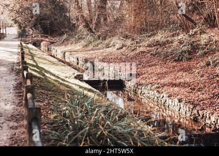 Une belle vue d'un ruisseau à côté d'un sentier de randonnée dans le parc pendant l'automne par une journée ensoleillée Banque D'Images
