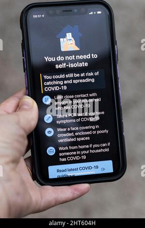 Questionnaire sur l'application NHS Covid pour conseiller sur l'isolement après avoir été alerté comme contact étroit avec un cas positif, après la levée des restrictions. Banque D'Images
