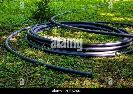 Le tuyau d'eau en PVC est enroulé dans de grands anneaux sur de l'herbe verte. Travaux préparatoires pour la pose de conduites d'eau. Mise au point sélective. Banque D'Images