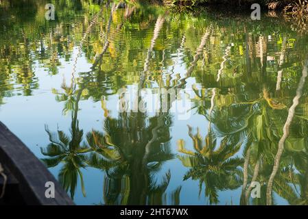 Kerala, Inde - janvier 2022 : la nature se reflète dans les eaux du Kerala, autour de l'île Munroe Banque D'Images