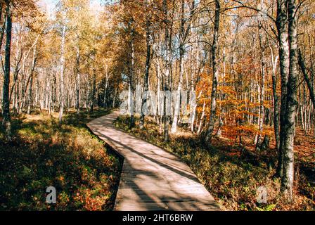 Jour d'automne ensoleillé à Rotes Moor, montagnes Rhön, Allemagne Banque D'Images