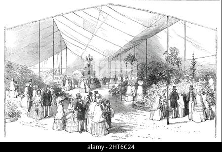 Exposition de plantes américaines aux jardins de la Royal Botanical Society, Regent's-Park, [Londres], 1850. '...not de moins que de 6000 à 7000 personnes étaient présents... l'objet de la Royal Botanic Society en accordant tant d'importance aux fleurs américaines est de donner un élan à la vente de ces plantes, comme étant admirablement adapté pour les pelouses ornementales. Certaines des plantes ont de quarante à cinquante ans... parmi les objets qui, dans les futures expositions, attirera la plus grande attention, est le Viburnum qui vient d'arriver de Chine. MM. Staudish et Noble, par qui il a été véhiculant Banque D'Images