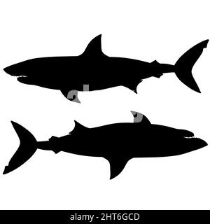 Illustration noire et blanche du requin. Silhouette d'un monstre marin. Terrible prédateur assoiffé de sang. Un monstre des profondeurs de l'océan Banque D'Images