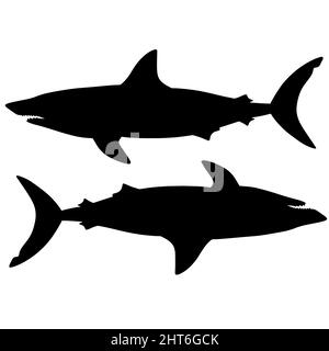 Illustration noire et blanche du requin. Silhouette d'un monstre marin. Terrible prédateur assoiffé de sang. Un monstre des profondeurs de l'océan Banque D'Images