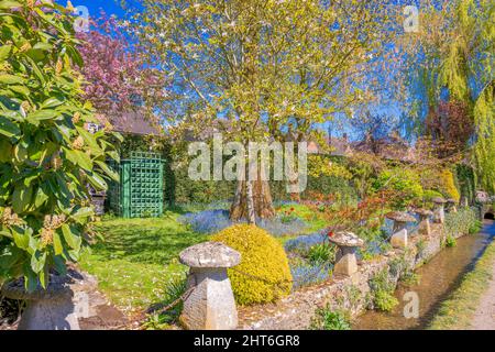 Bouton sur les jardins aquatiques Banque D'Images