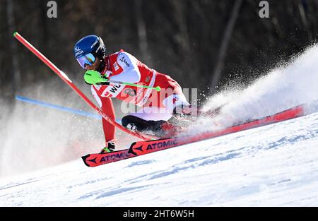 Garmisch Partenkirchen, Allemagne. 27th févr. 2022. Ski alpin : coupe du monde, Slalom, hommes, 2nd pistes. Marco Schwarz d'Autriche en action. Credit: Angelika Warmuth/dpa/Alamy Live News Banque D'Images