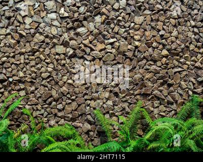 Forte décoration murale avec de nombreuses pierres de crack ornementées avec des feuilles de fougères vertes fraîches sur le dessous. Fond de texture de mur de roche. Banque D'Images