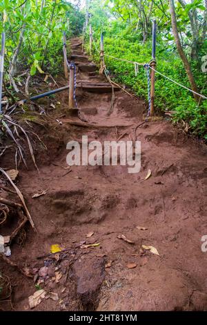 Sentier boueux à travers la forêt tropicale sur l'île de Kauai Banque D'Images