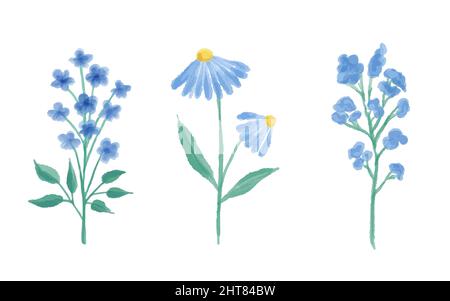 Ensemble de fleurs sauvages. Collection botanique. Fleurs sauvages, herbes, feuilles. Jardin et feuillage sauvage, fleurs. Illustrations vectorielles. Illustration de Vecteur
