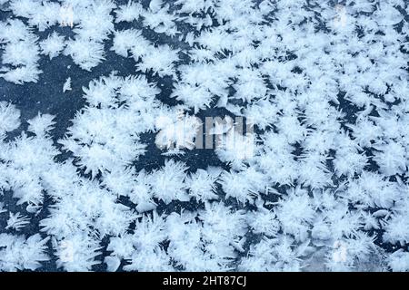 Effet magnifique - étoiles de neige sur glace. Un modèle qui ne se forme que dans les conditions de gel hivernal sévère Banque D'Images