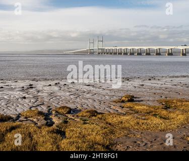 L'herbe pousse sur des flaques de boue sur la rive du chenal Bristol à Severn Beach, à Gloucestershire, avec le deuxième pont Severn Crossing derrière lui. Banque D'Images