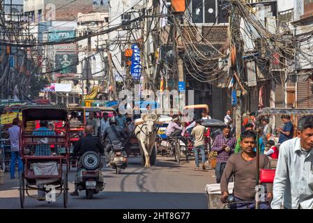 Chariot de vache partageant la route très fréquentée avec la circulation, Chandni Chowk (Moonlight Square), Delhi, Inde Banque D'Images