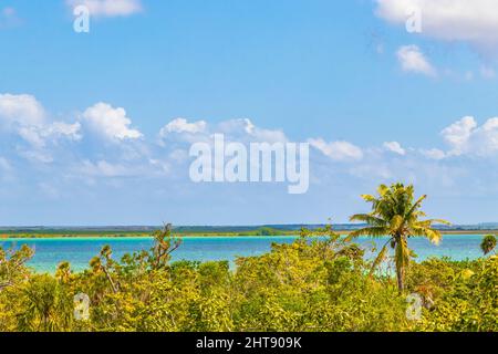 Vue panoramique sur le lagon de Muyil depuis la tour de point de vue en bois dans la forêt tropicale naturelle de la jungle du parc national de Sian Ka'an Muyil Chunyaxche Qu Banque D'Images