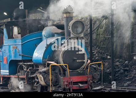 Train à vapeur sur Darjeeling Himalayan Railway (également connu sous le nom de DHR ou Toy train) traversant la ville, Darjeeling, Bengale occidental, Inde Banque D'Images