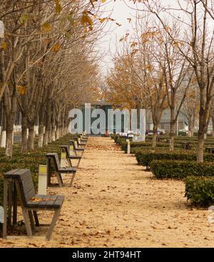 Plan vertical des bancs vides dans le parc d'automne. Banque D'Images