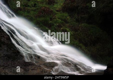 Queue de la jument grise / Rhaeadr y Parc Mawr, près de Conwy. Banque D'Images