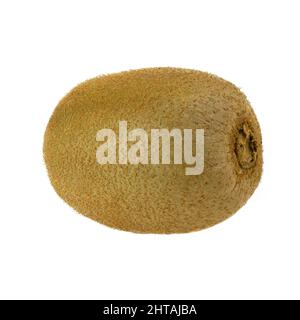 Fruit : kiwi entier isolé sur fond blanc. Masque. Profondeur de champ complète. Banque D'Images