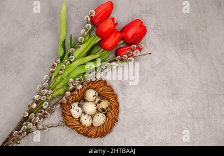 Décoration de Pâques sur fond gris. Fleurs et œufs de caille. Banque D'Images
