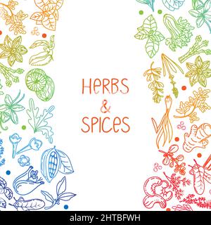 Modèle pour emballage d'herbes et d'épices, élément dessiné dans le style de la caniche. Silhouettes aux couleurs arc-en-ciel. Herbes et épices - Chili, vanille, mûre, rose Illustration de Vecteur