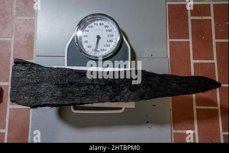 Schleswig, Allemagne. 20th janvier 2022. Une planche en bois provenant d'une épave centenaire se trouve sur une échelle au château de Gottorf, dans l'atelier central archéologique de la Fondation des musées d'État du Schleswig-Holstein. Le morceau de bois appartient à une épave médiévale de la Rhénanie-du-Nord-Westphalie qui a été découverte dans le fleuve Lippe en 2019. Credit: Axel Heimken/dpa/Alay Live News Banque D'Images