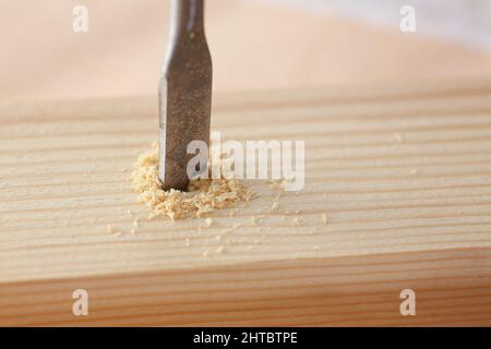 Percer un instrument pour percer un trou dans une planche en bois, copeaux de bois sur la surface Banque D'Images