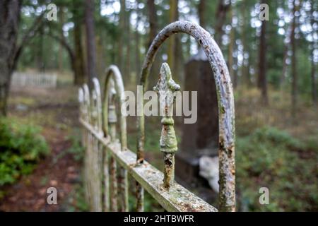 Accent sélectif sur une clôture rouillée en fer forgé dans une grande parcelle de cimetière boisée dans le Nord-Ouest du Pacifique Banque D'Images